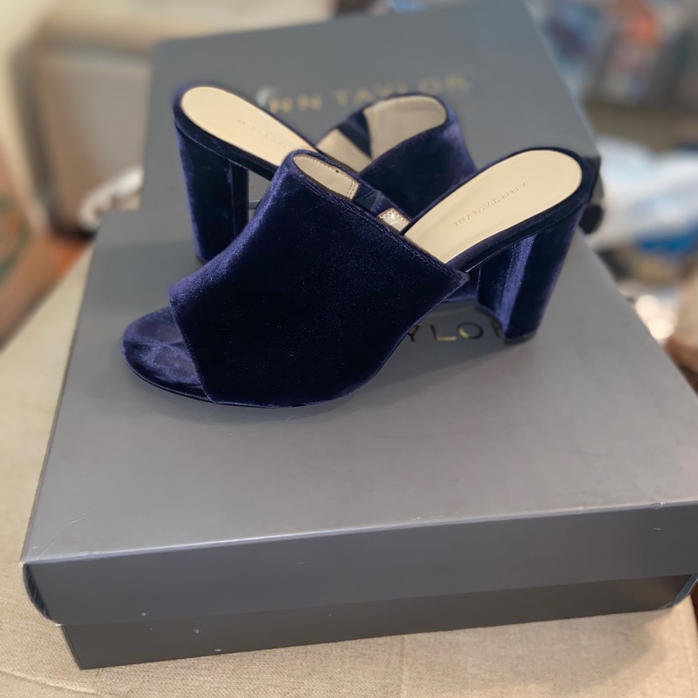 Hayden Velvet Heeled Mules
